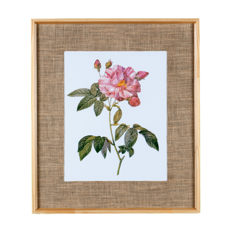 Quadro Decorativo Botanicals Rosa 4 Botões 63x73cm com vidro