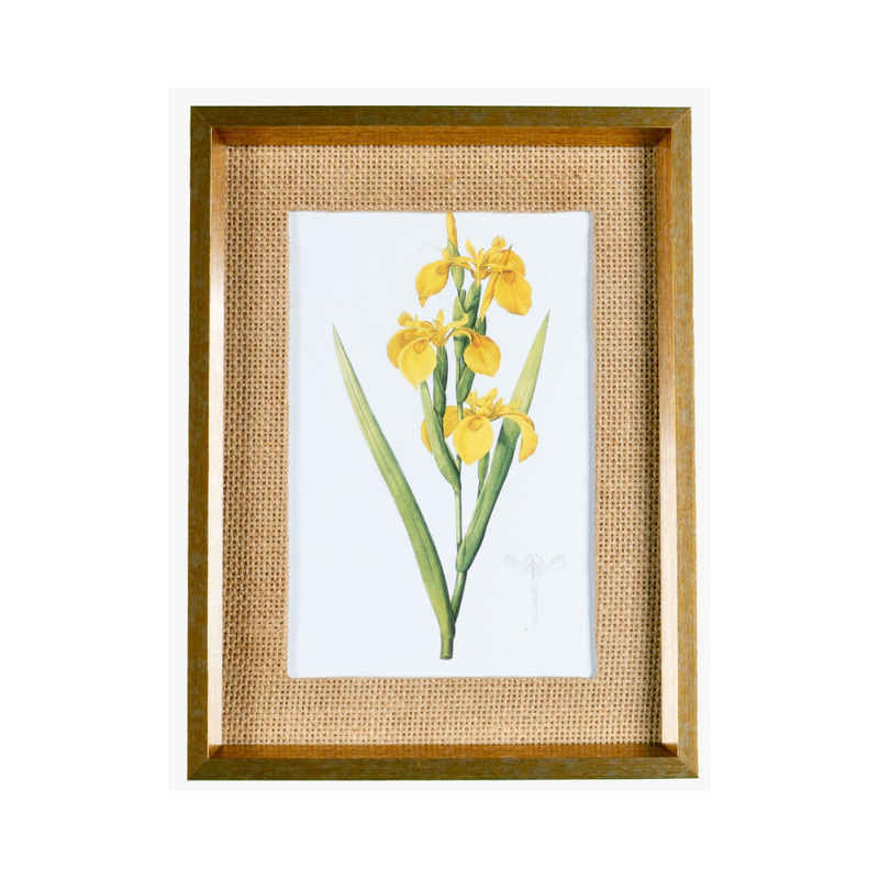 Quadro Decorativo Botanicals Orquídea 3 Botões 31x41cm moldura dourada