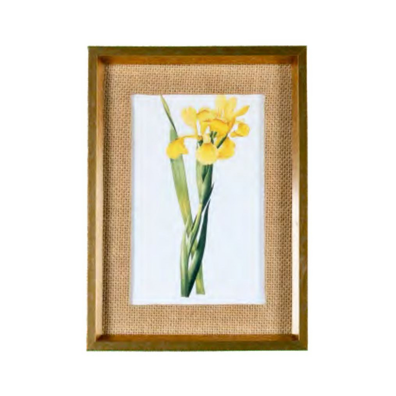 Quadro Decorativo Botanicals Orquídea 1 Botão 31x41cm com vidro