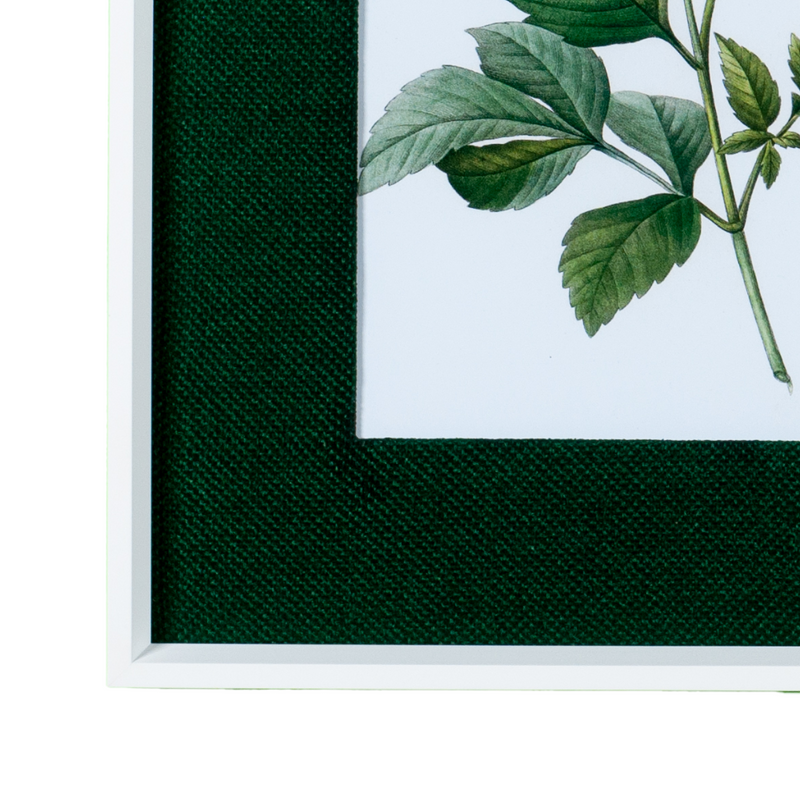 Quadro Decorativo Botanicals Margarida 1 Flor 63x73cm com vidro